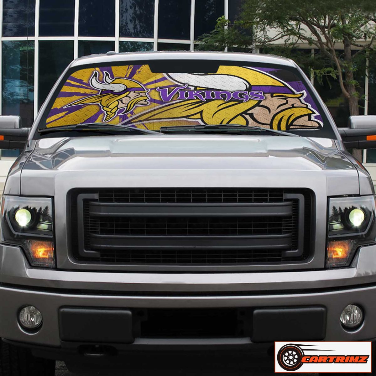 Cartrimz Minnesota Vikings Car Seat Covers Perfect for Fans